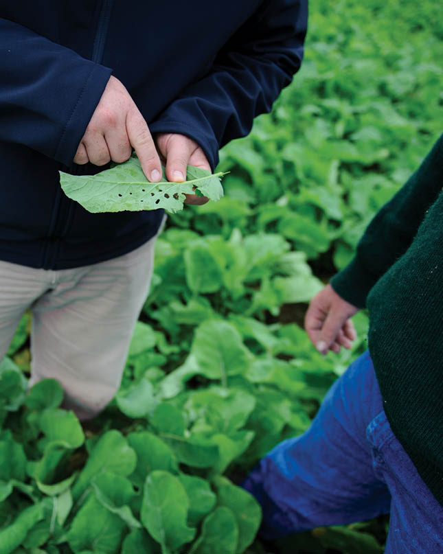 Rural & Farm Supplies PGG Wrightson